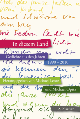 Michael Lentz / Michael Opitz (Hg.) »In diesem Land«