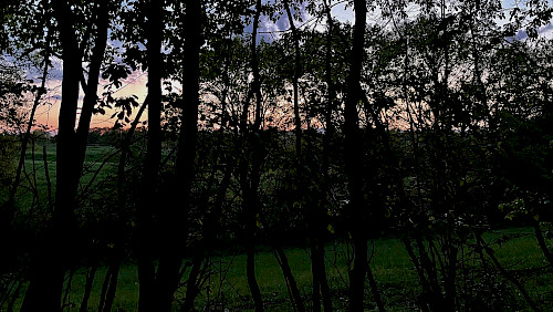 Abendgang
