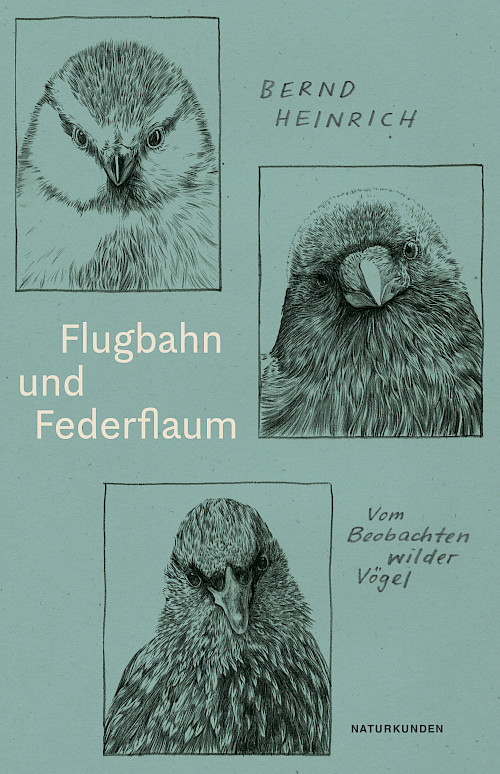 Bernd Heinrich »Flugbahn und Federflaum«