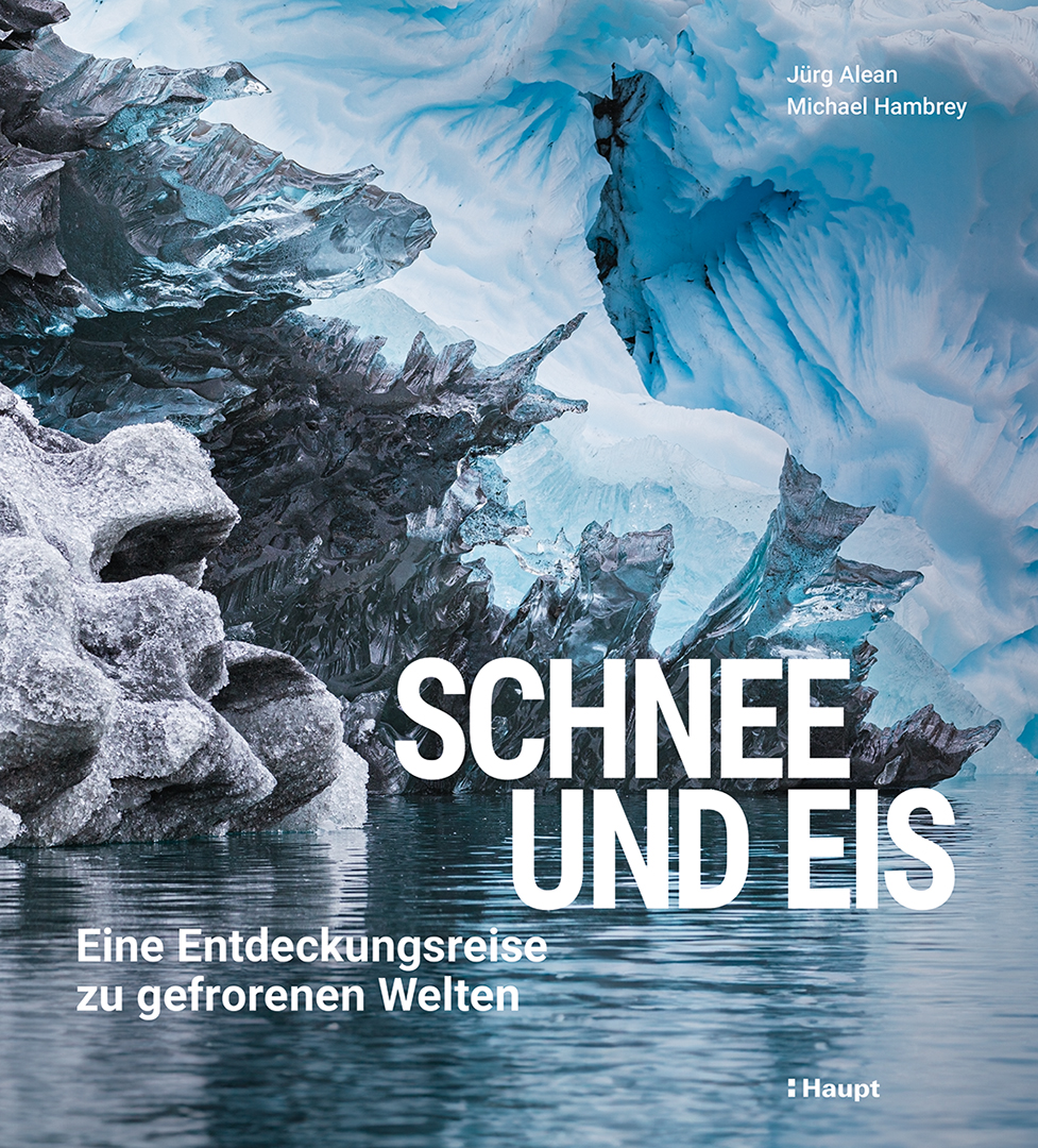 26. Januar